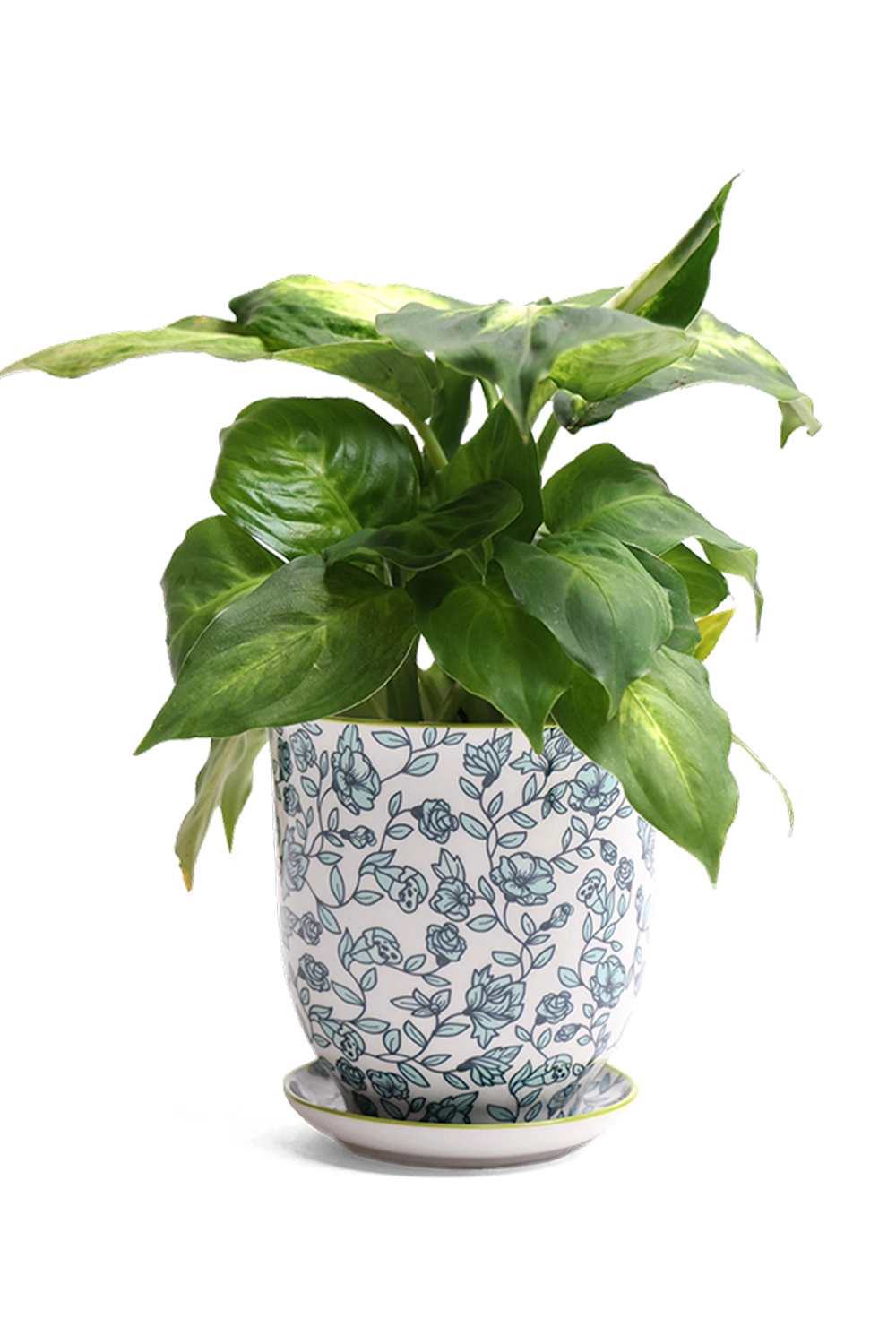 Blue Flower Porcelain Pot And Saucer Set With Drainage - Liberte - handmade by Chive Studio Toronto