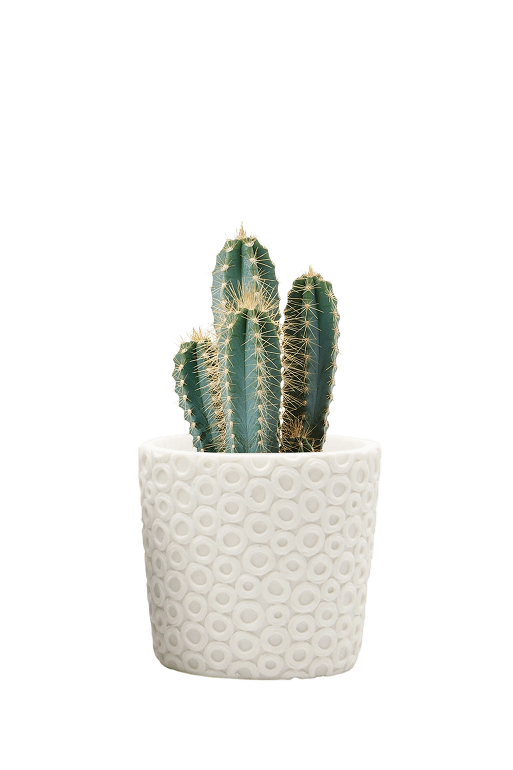 Resin Planter Pot - Stagma - handmade by Chive Stdio Toronto