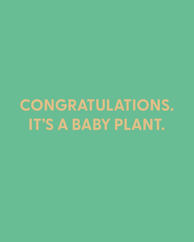 Congratulations. It’s a baby plant. - Greeting Card - Chive Ceramics Studio - Cards - Chive Ceramics Studio