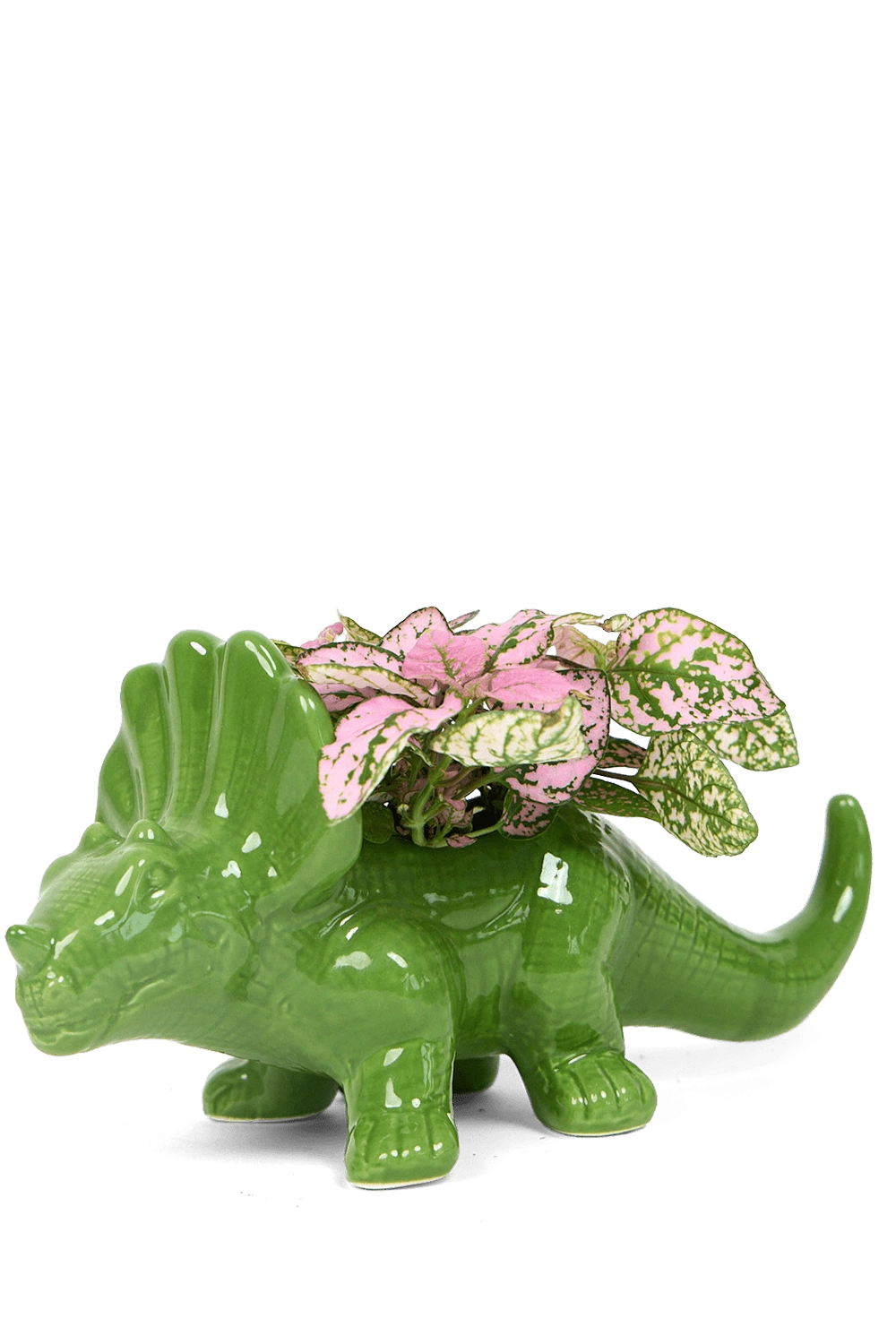 Fluorite Green Ceramic Indoor Plant for Succulents - Triceratops - handmade by Chive Studio Toronto