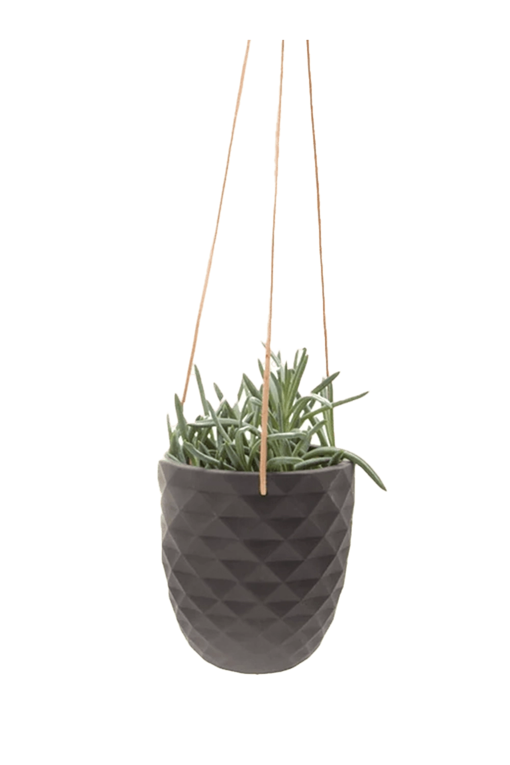 Black Porcelain Modern Hanging Planter - Thimble - handmade by Chive Studio Toronto