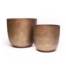 Fern Indoor/Outdoor Planter - Chive Plant Studio - Pots - Chive Plant Studio