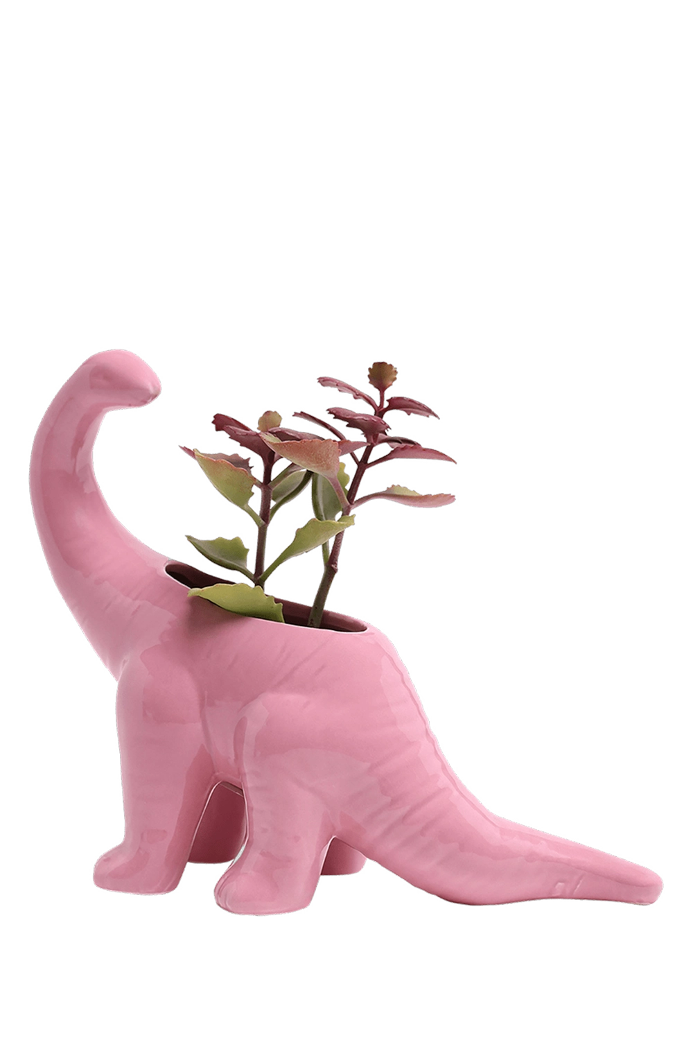 Pink Ceramic Indoor Plant Pot for Succulents - Brontosaurus - handmade by Chive Studio Toronto