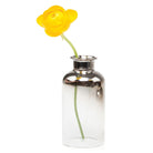 Aptar Glass Modern Flower Vase - Chive Plant Studio - Vases - Chive Studio 2024