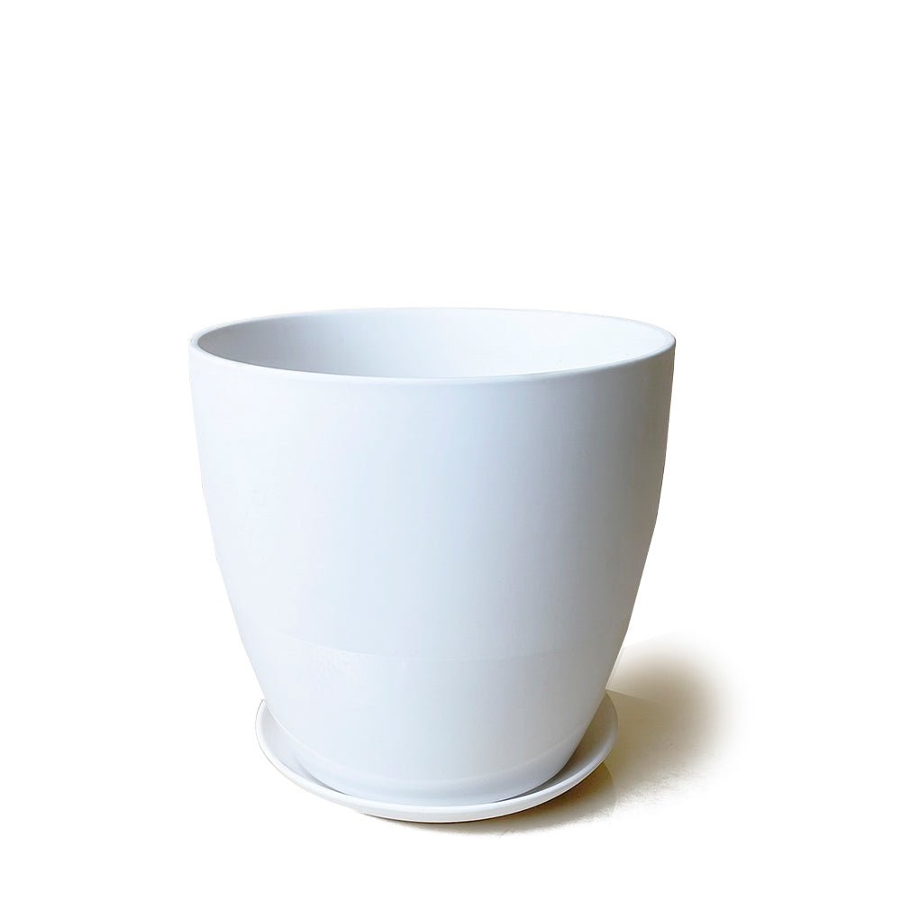 Dyad Porcelain Modern Indoor Plant Pot With Saucer - Chive Plant Studio - Pots - Chive