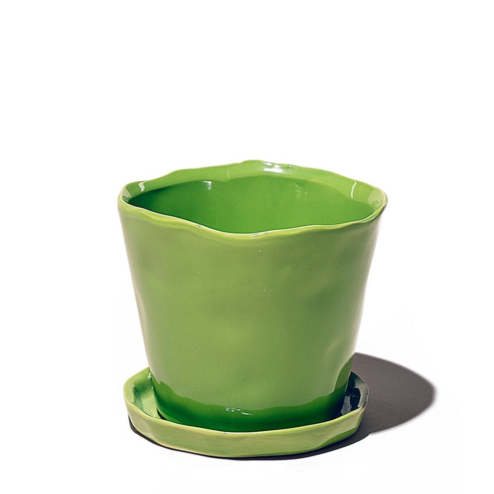 Tika Ceramic Pot & Saucer Set With Drainage - Chive Plant Studio - Pots - Chive Studio 2024