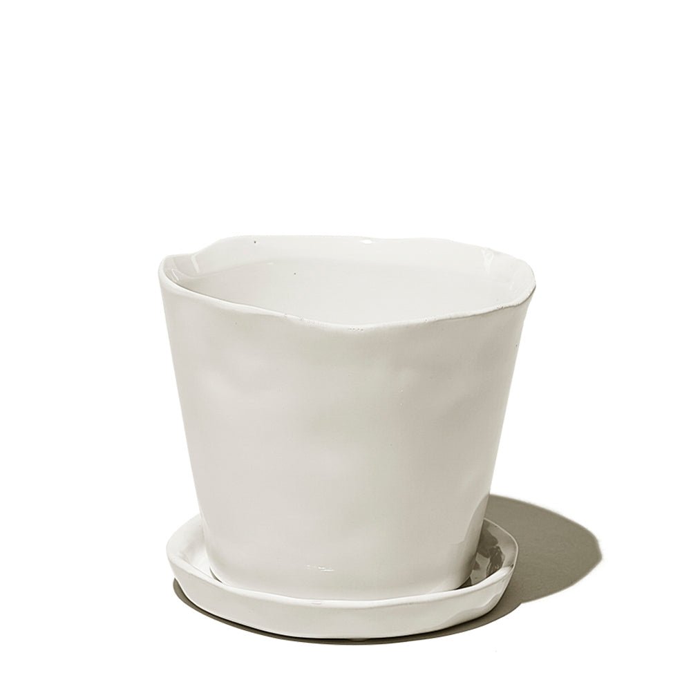 Tika Ceramic Pot & Saucer Set With Drainage - Chive Plant Studio - Pots - Chive Studio 2024