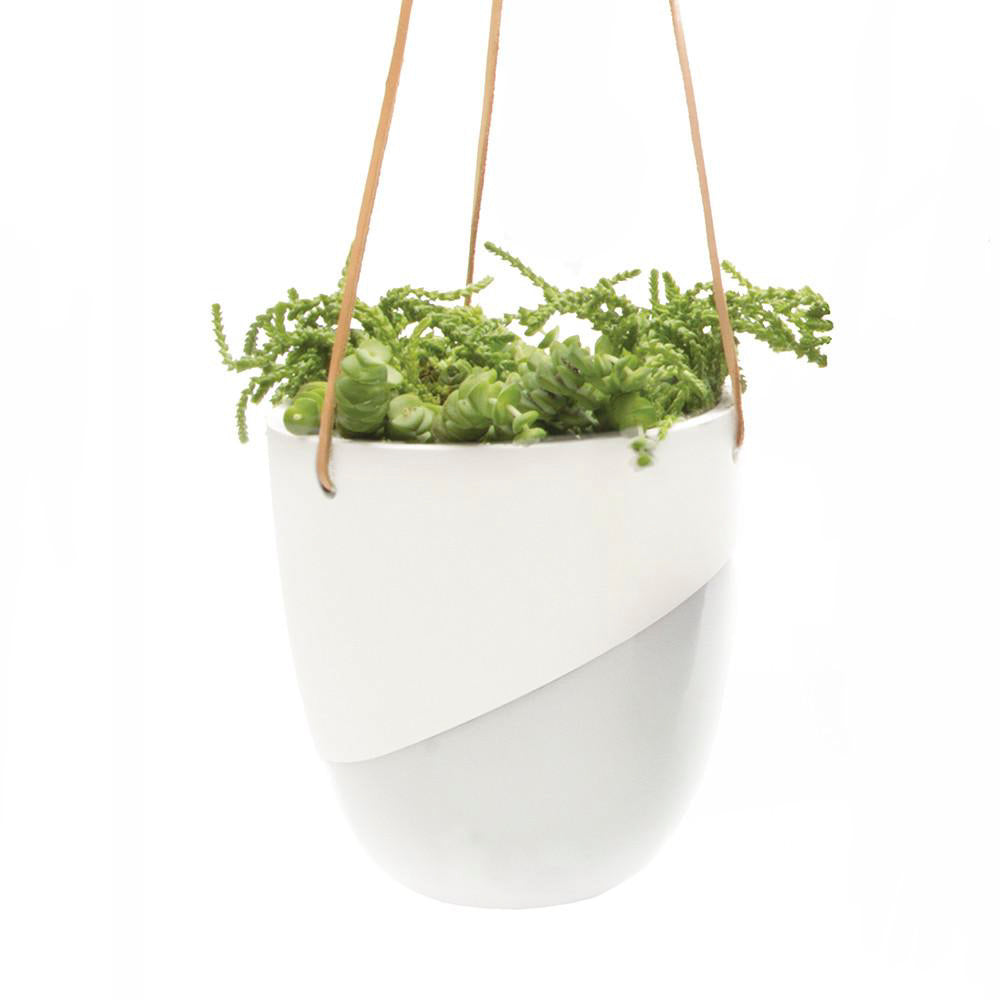 A Bobbin Porcelain Modern Hanging Indoor Plant Pot from Chive Studio 2024, with an asymmetrical design, suspended by waterproof rope, containing lush green succulents and trailing ferns against a white background.