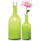 Bottle Glass Decorative Flower Vase - Chive Plant Studio - Vases - Chive Studio 2024