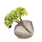 Big Parla Glass Modern Flower Vase - Chive Plant Studio - Vases - Chive Studio 2024