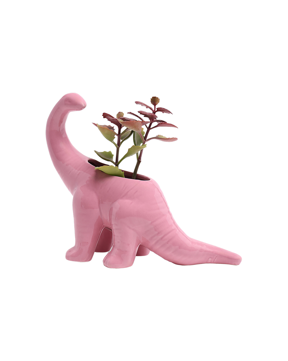 Brontosaurus Ceramic Indoor Plant Pot for Succulents