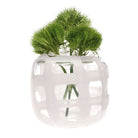 Black & White Glass Modern Flower Vase - Chive Plant Studio - Vases - Chive Studio 2024