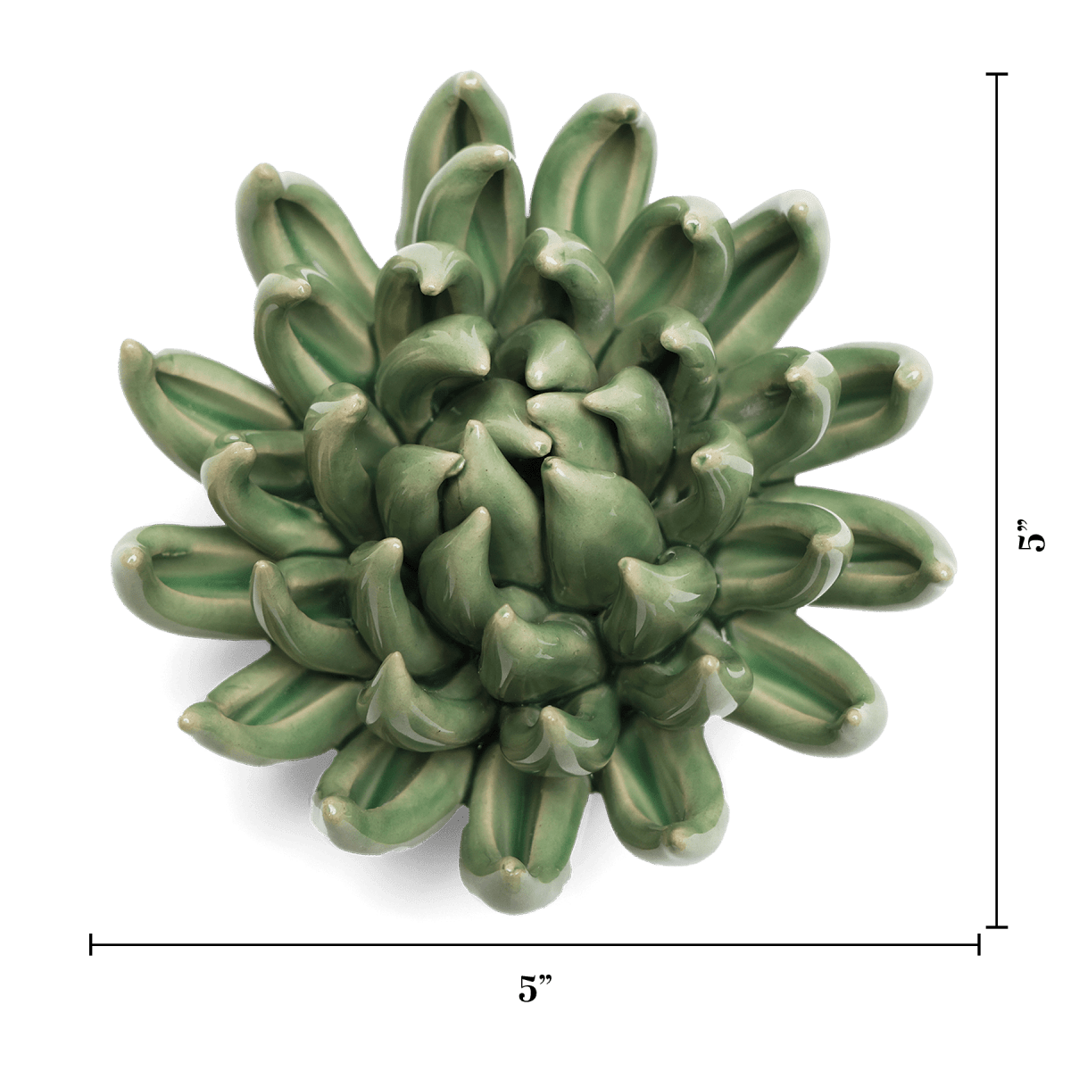 EG14 Jade Green Succulent - Chive US Wholesale