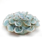 Ceramic Flower Wall Art Flower Blue 2 - Chive Plant Studio - Ceramic Flowers - Chive