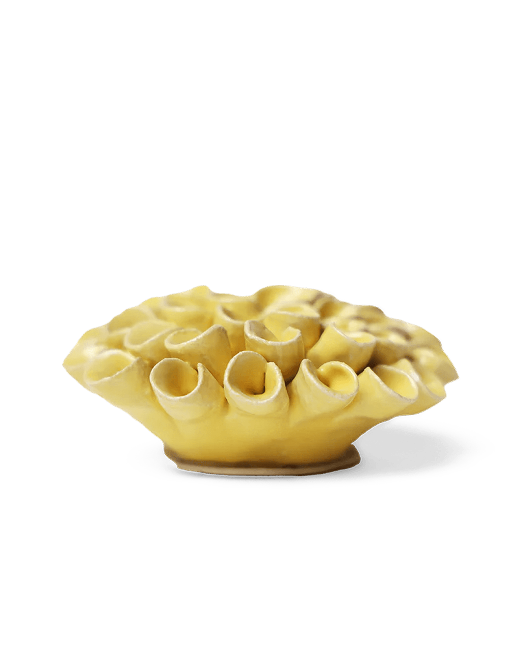 Ceramic Flower - Flower Yellow 3 - Chive Ceramics Studio - Ceramic Flowers - Chive Studio