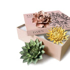 Ceramic Flower Wall Art Dawn Box Set - Chive Plant Studio - Ceramic Flowers - Chive