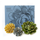 Ceramic Flower Wall Art Day Box Set - Chive Plant Studio - Ceramic Flowers - Chive