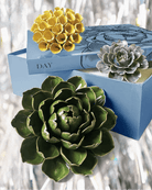 For the Minimalist Who Still Wants Pretty Things - Chive Ceramics Studio - Chive Ceramics Studio