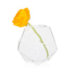 Crystal Glass Modern Clear Flower Vase