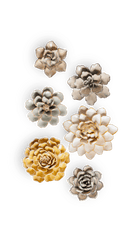 Princeton - 6 Piece Curated Set - Chive Ceramics Studio - Ceramic Flower Sets - Chive Ceramics Studio