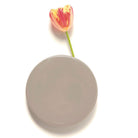 Wall Dot Ceramic Flower Vase - Chive Plant Studio - Vases - Chive Studio 2024