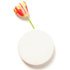 Wall Dot Ceramic Flower Vase - Chive Plant Studio - Vases - Chive Studio 2024