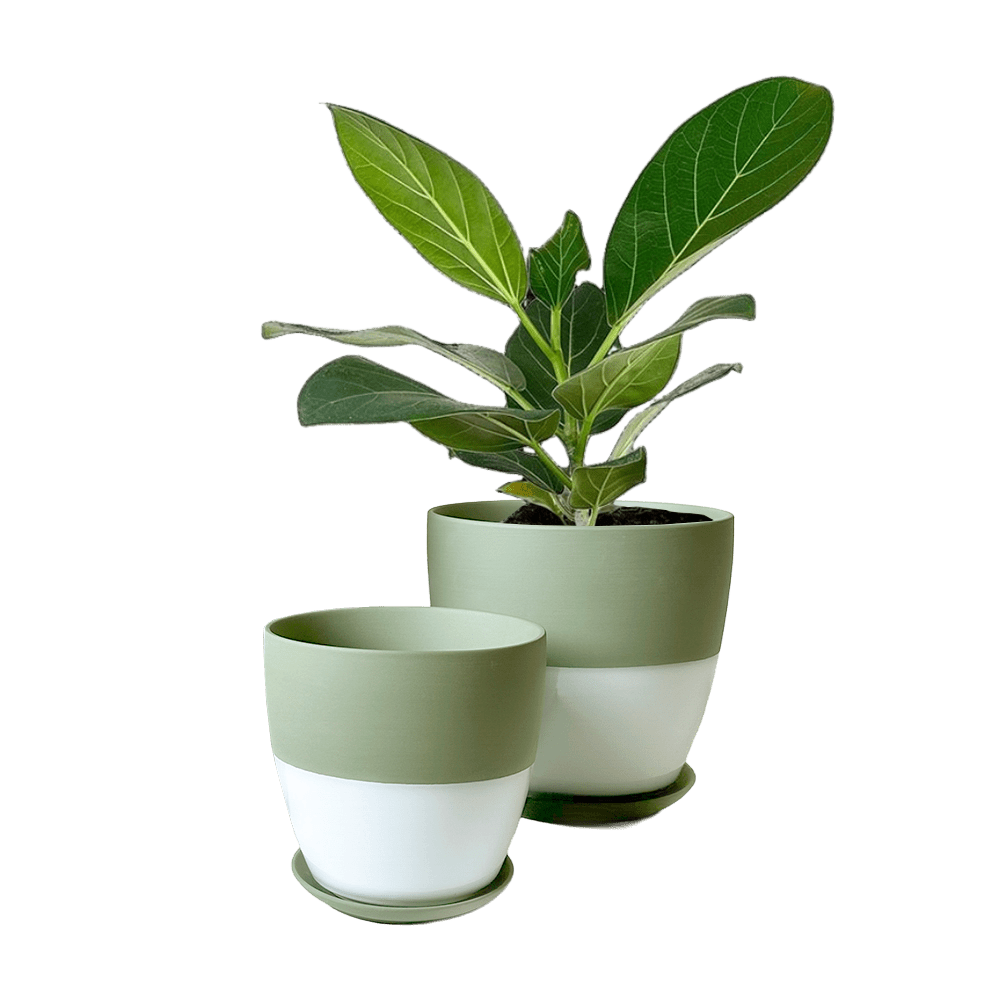 Dyad Porcelain Modern Indoor Plant Pot With Saucer | 3 & 5 inches - Chive Ceramics Studio - Pots - Chive Ceramics Studio