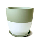 Dyad Porcelain Modern Indoor Plant Pot With Saucer - Chive Plant Studio - Pots - Chive