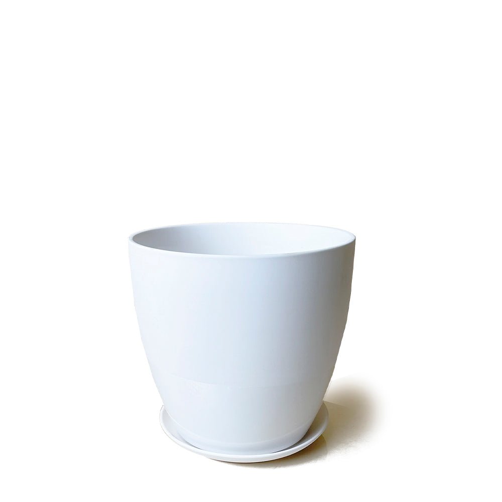 Dyad Porcelain Modern Indoor Plant Pot With Saucer - Chive Plant Studio - Pots - Chive