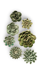 Essex - 7 Piece Curated Set - Chive Ceramics Studio - Ceramic Flower Sets - Chive Ceramics Studio