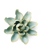 Robin's Egg Blue Aurora Water Lily - Chive Ceramics Studio - Ceramic Flowers - Chive Ceramics Studio