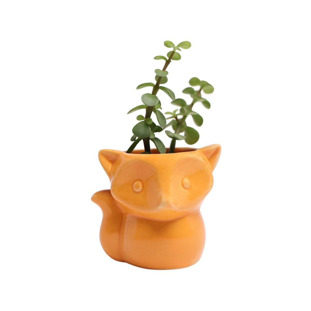 Fox Ceramic Indoor Plant Pot For Succulents - Chive Plant Studio - Pots - Chive Studio 2024