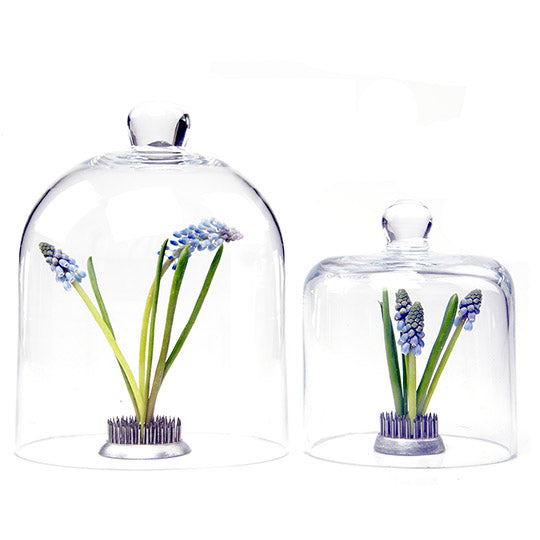 Gip Glass Cloche - Chive Plant Studio - Tools & Accessories - Chive Studio 2024