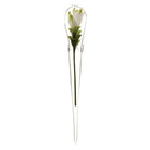 Window Cone Glass Modern Clear Flower Vase - Chive Plant Studio - Vases - Chive Studio 2024