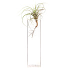 Cube Glass Modern Clear Flower Vase - Chive Plant Studio - Vases - Chive Studio 2024