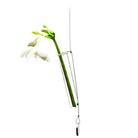 Bolbo Hanging Glass Modern Clear Flower Vase - Chive Plant Studio - Vases - Chive Studio 2024