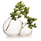 Double Bubble Glass Modern Clear Flower Vase - Chive Plant Studio - Vases - Chive Studio 2024