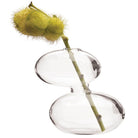 Raygun Glass Modern Clear Flower Vase - Chive Plant Studio - Vases - Chive Studio 2024