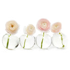 Caterpillar Glass Modern Clear Flower Vase - Chive Plant Studio - Vases - Chive Studio 2024