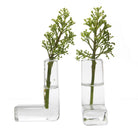 The L Glass Modern Clear Flower Vase - Chive Plant Studio - Vases - Chive Studio 2024