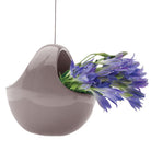 Hanging Aerium Ceramic For Succulents & Ikebana - Chive Plant Studio - Pots - Chive Studio 2024