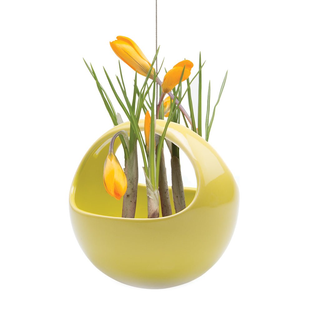 Hanging Aerium Ceramic For Succulents & Ikebana - Chive Plant Studio - Pots - Chive Studio 2024