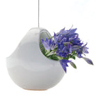 Hanging Aerium Ceramic For Succulents & Ikebana - Chive Plant Studio - Pots - Chive Studio 2024