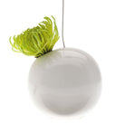 Hanging Aerium Ceramic For Succulents & Ikebana - Chive Plant Studio - Pots - Chive Studio 2024