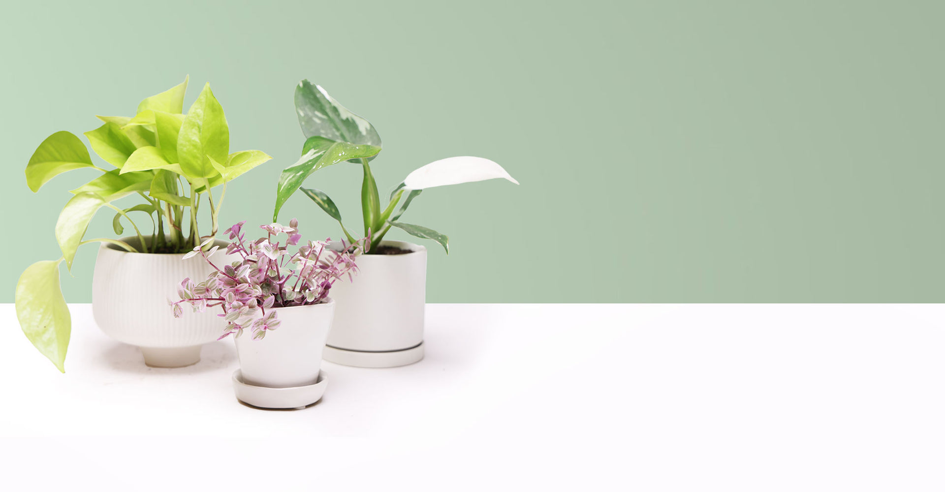Chive - Designers of Simple Modern Floral Vases & Terrariums – Chive ...