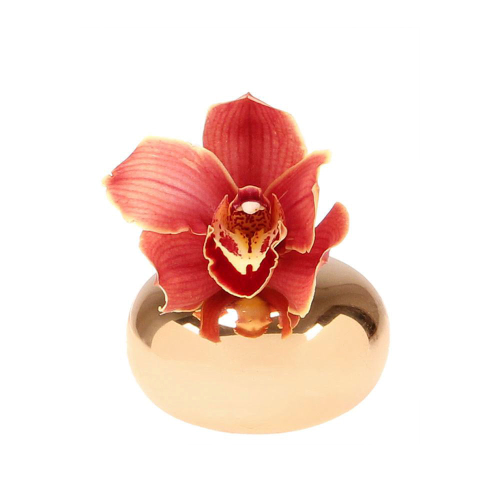 A vibrant red orchid flower perched atop a Chive Studio 2024 Jojo Ceramic Bud Vase For Flowers, isolated on a white background. The sphere enhances the elegance of the detailed petals and central orchid pattern, evoking the opulence.
