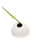A single green stem extends from a small, round, textured white Koski Ceramic Flower Vase by Chive Studio 2024, elegantly isolated against a plain white background.