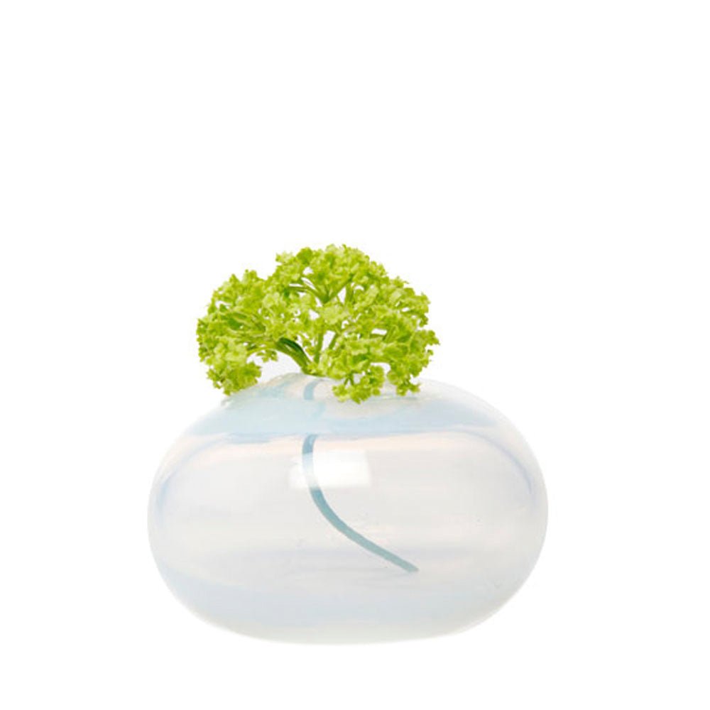 Ligne Glass Modern Flower Vase - Chive Plant Studio - Vases - Chive Studio 2024