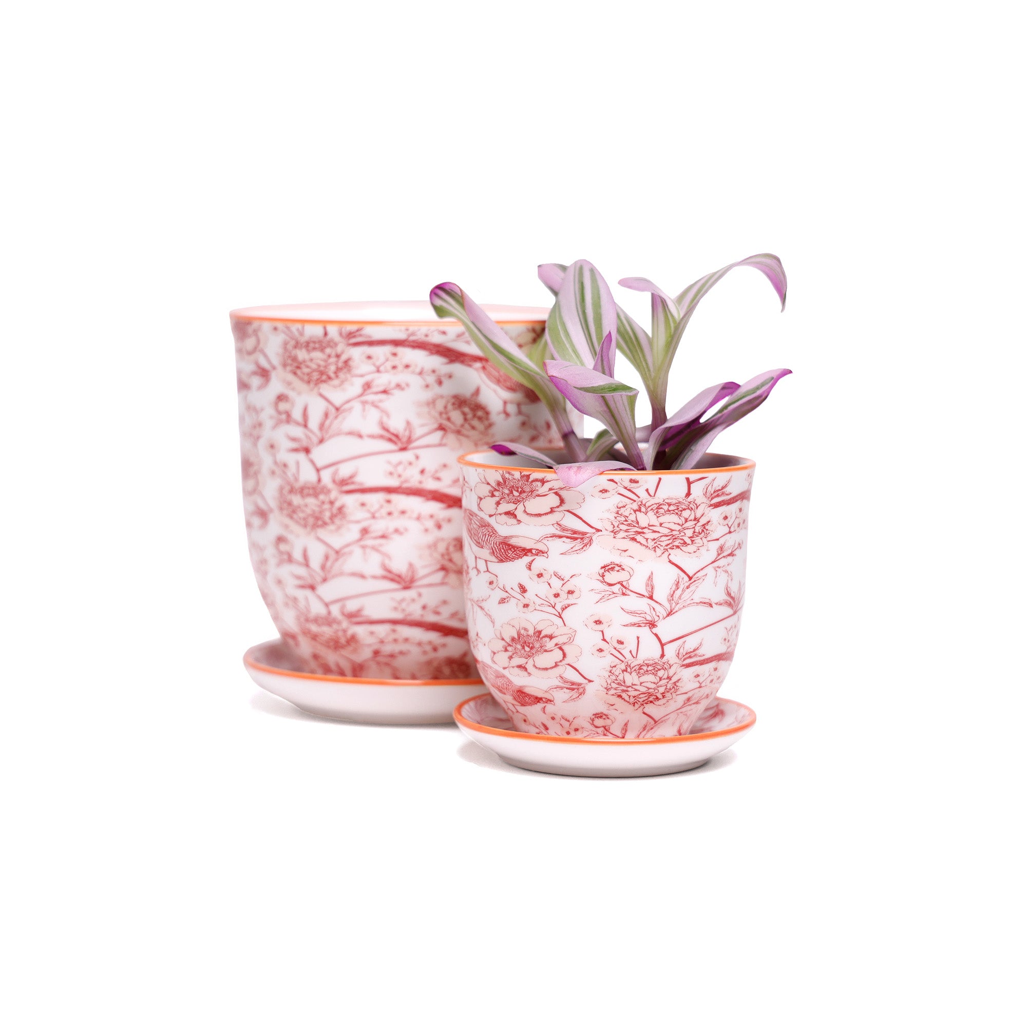 Liberte 5 Porcelain Pot And Saucer With Drainage - Chive Studio Canada