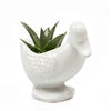 Duck Ceramic Indoor Plant Pot For Succulents